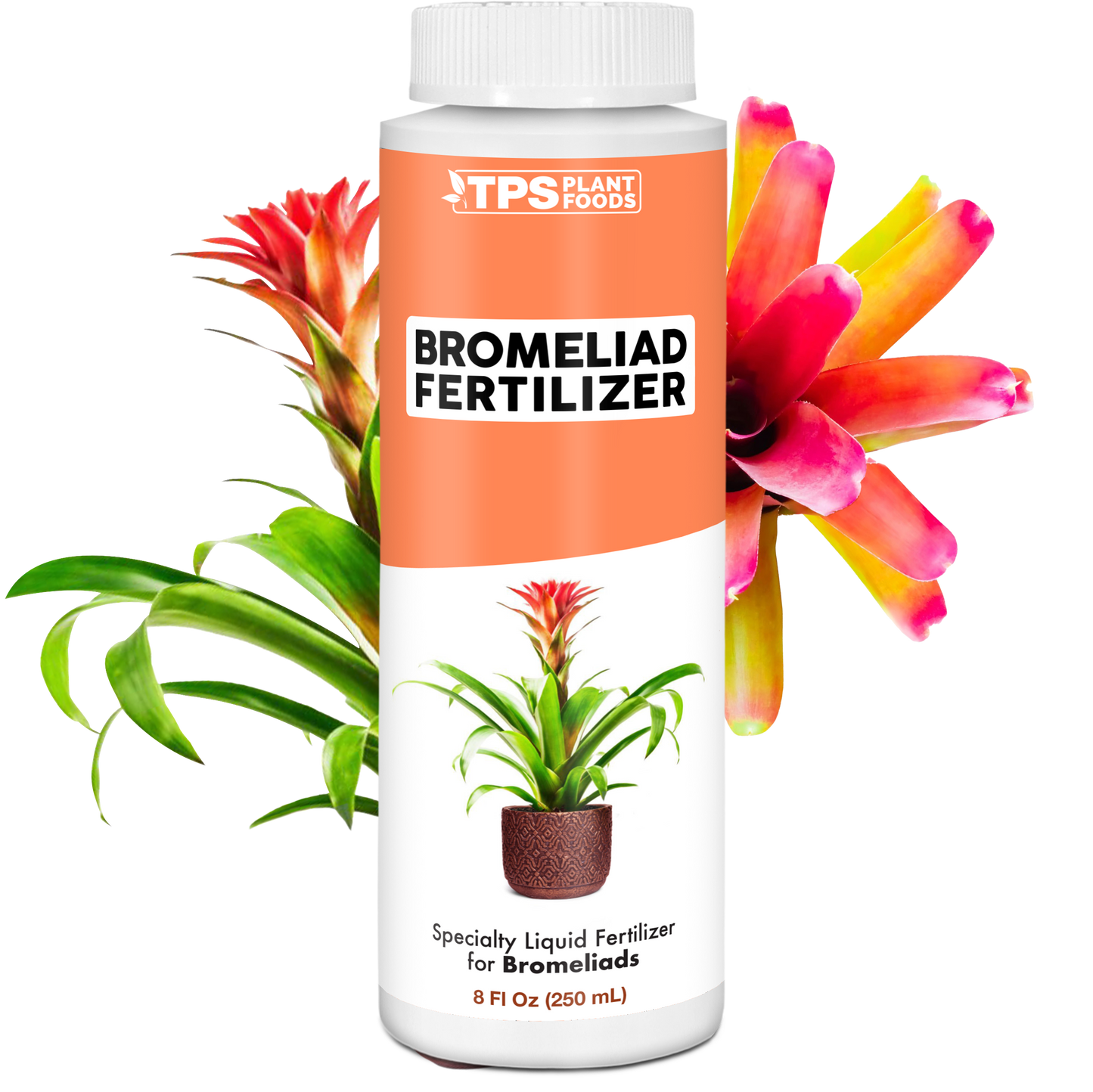 Bromeliad Fertilizer