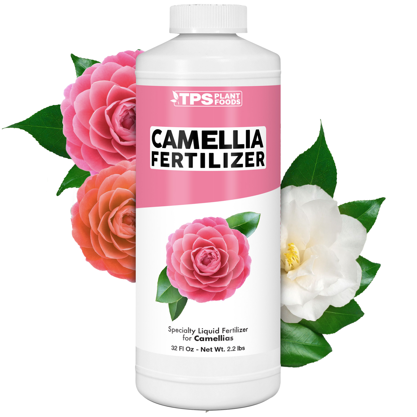 Camellia Fertilizer