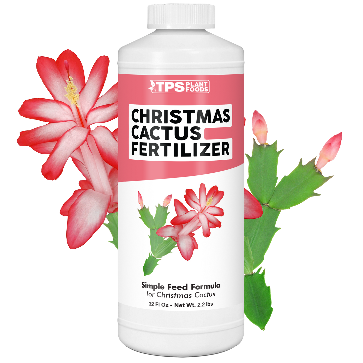 Christmas Cactus Fertilizer