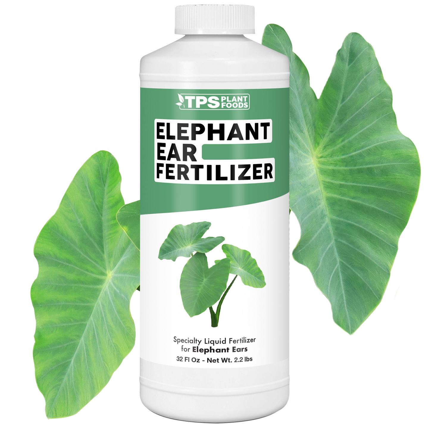 Elephant Ear Fertilizer