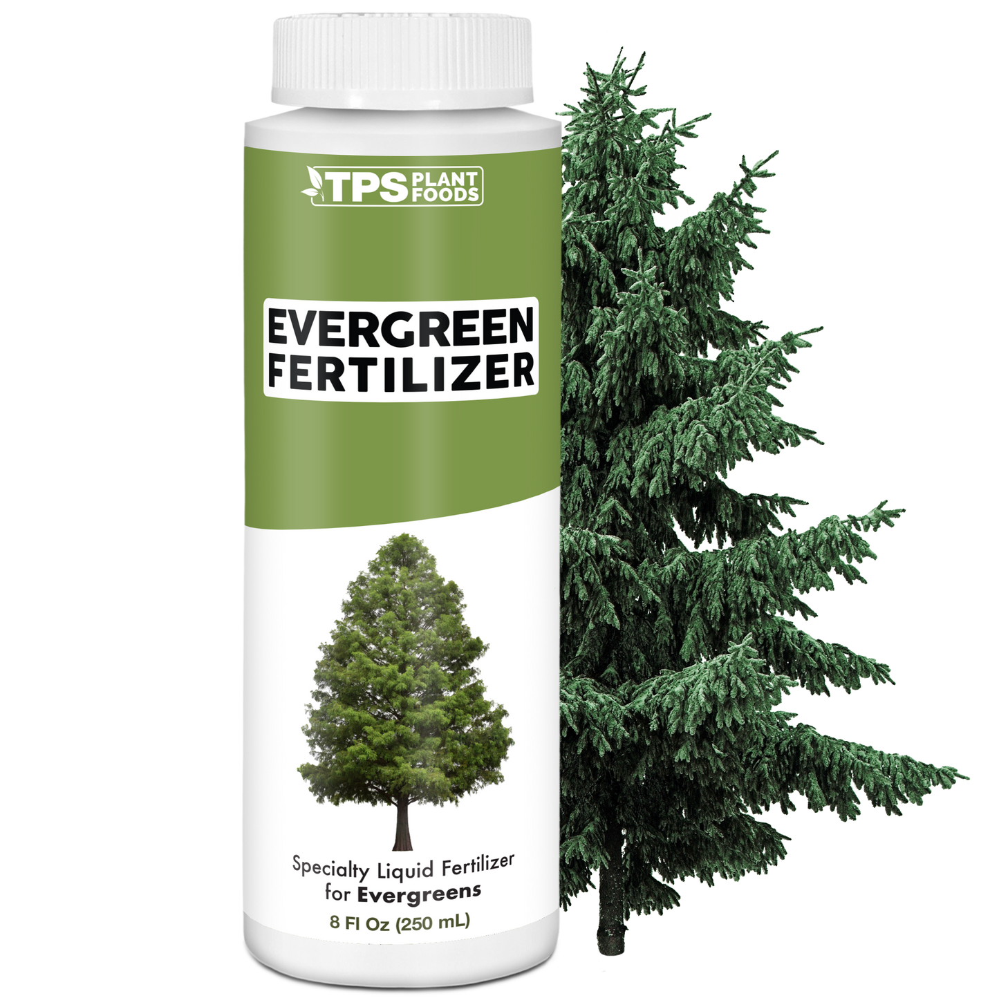 Evergreen Fertilizer