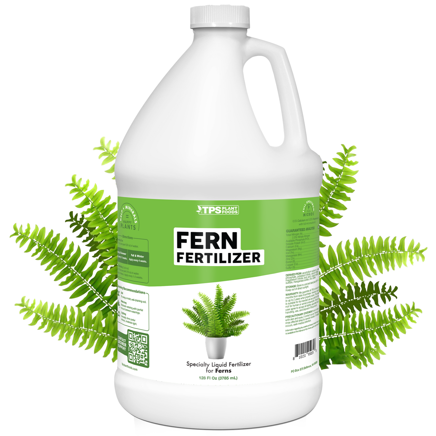 Fern Fertilizer