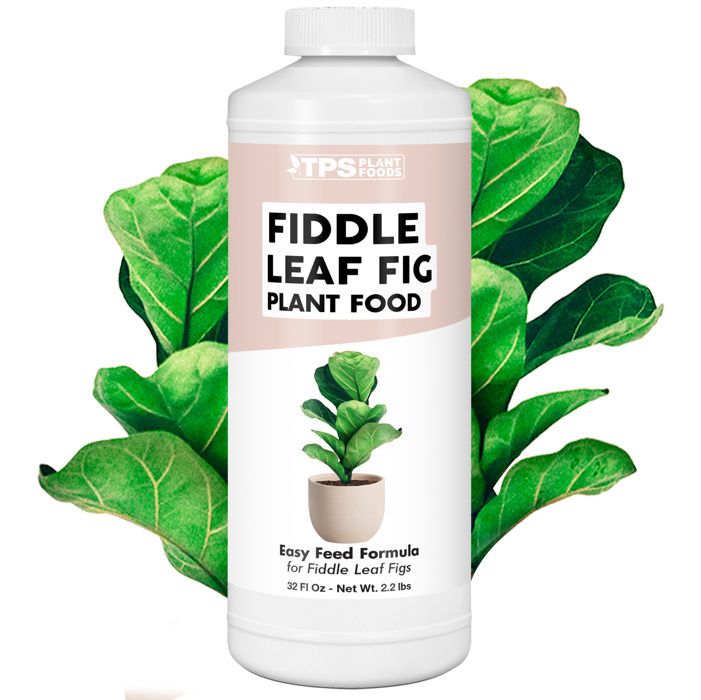 Fiddle Leaf Fig Plant Food