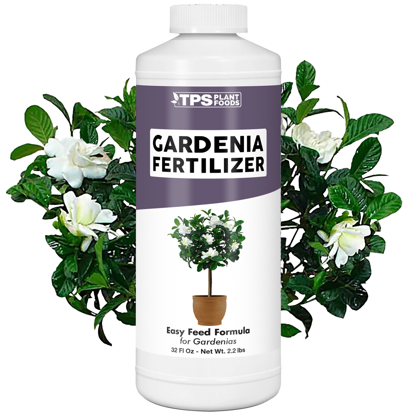 Gardenia Fertilizer