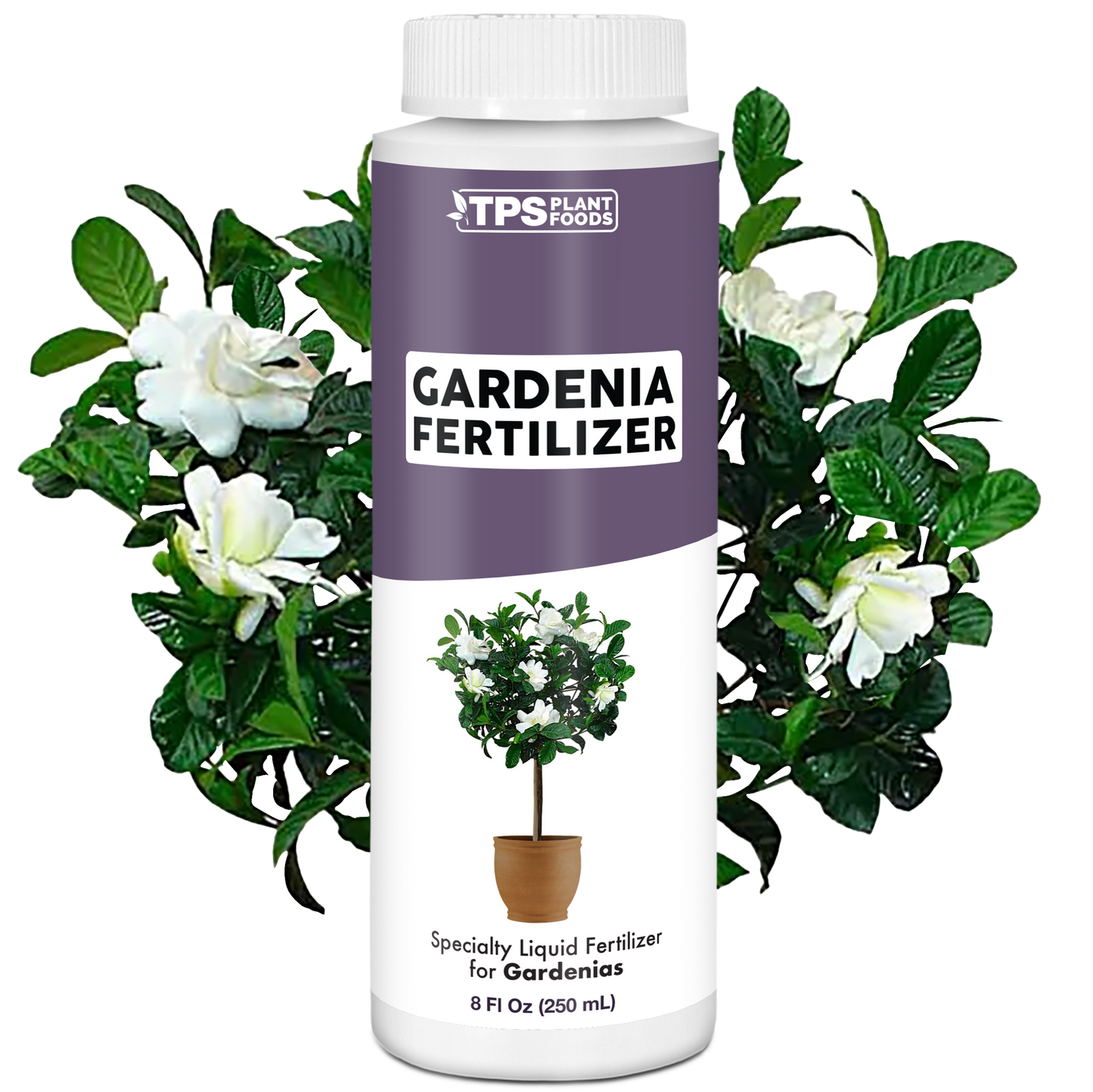 Gardenia Fertilizer