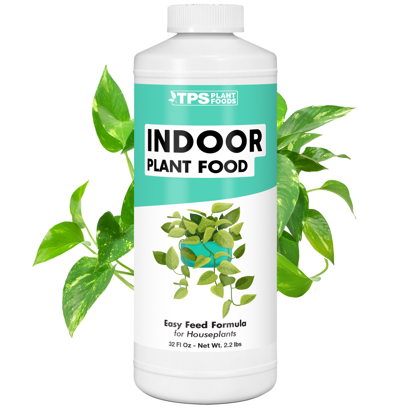 Indoor Plant Food