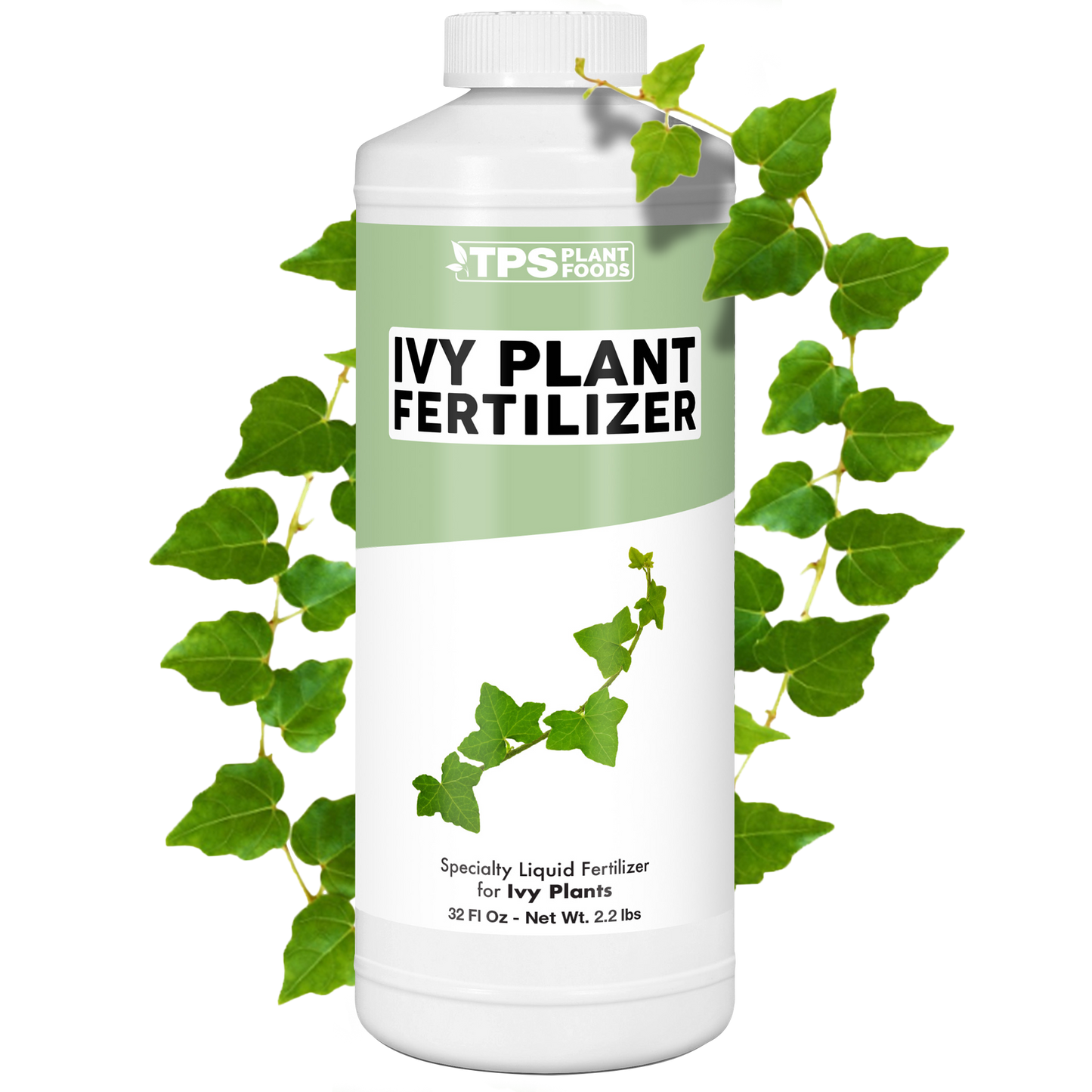 Ivy Plant Food