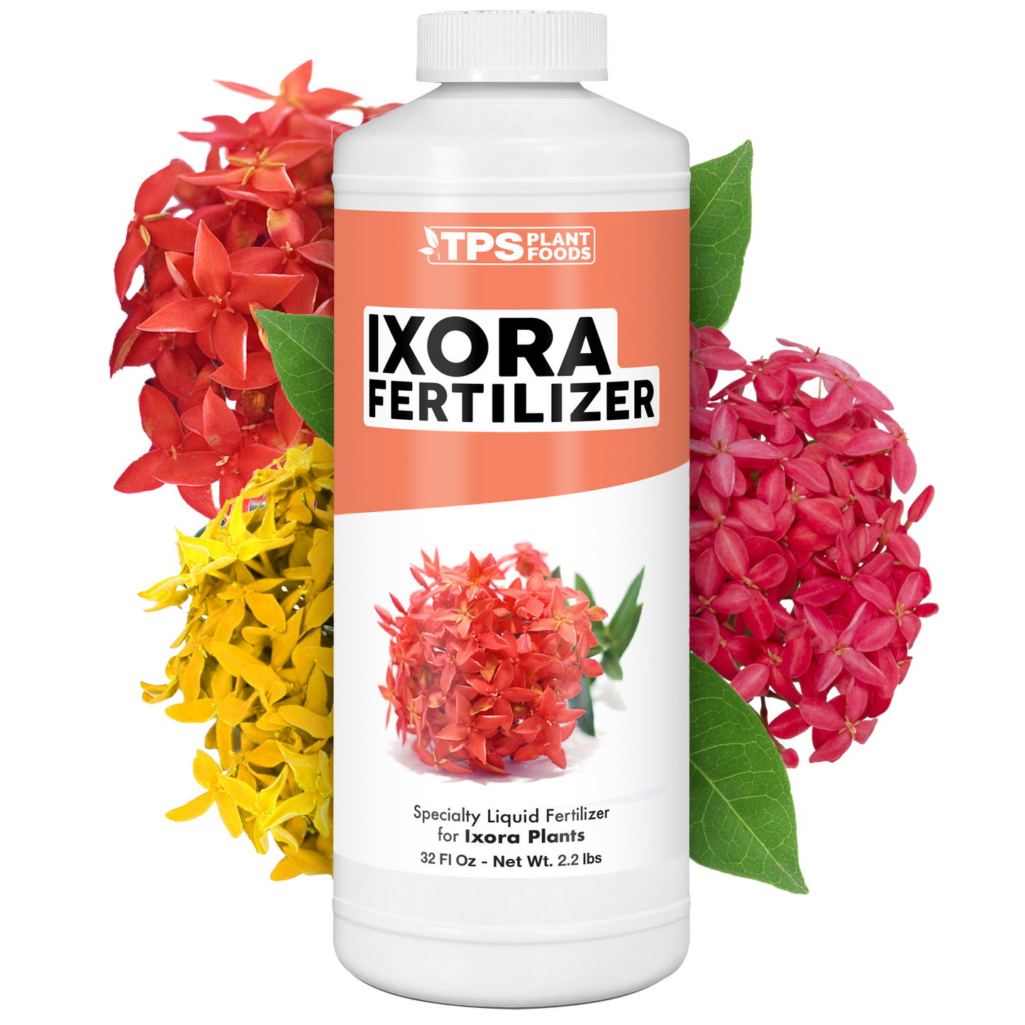 Ixora Fertilizer