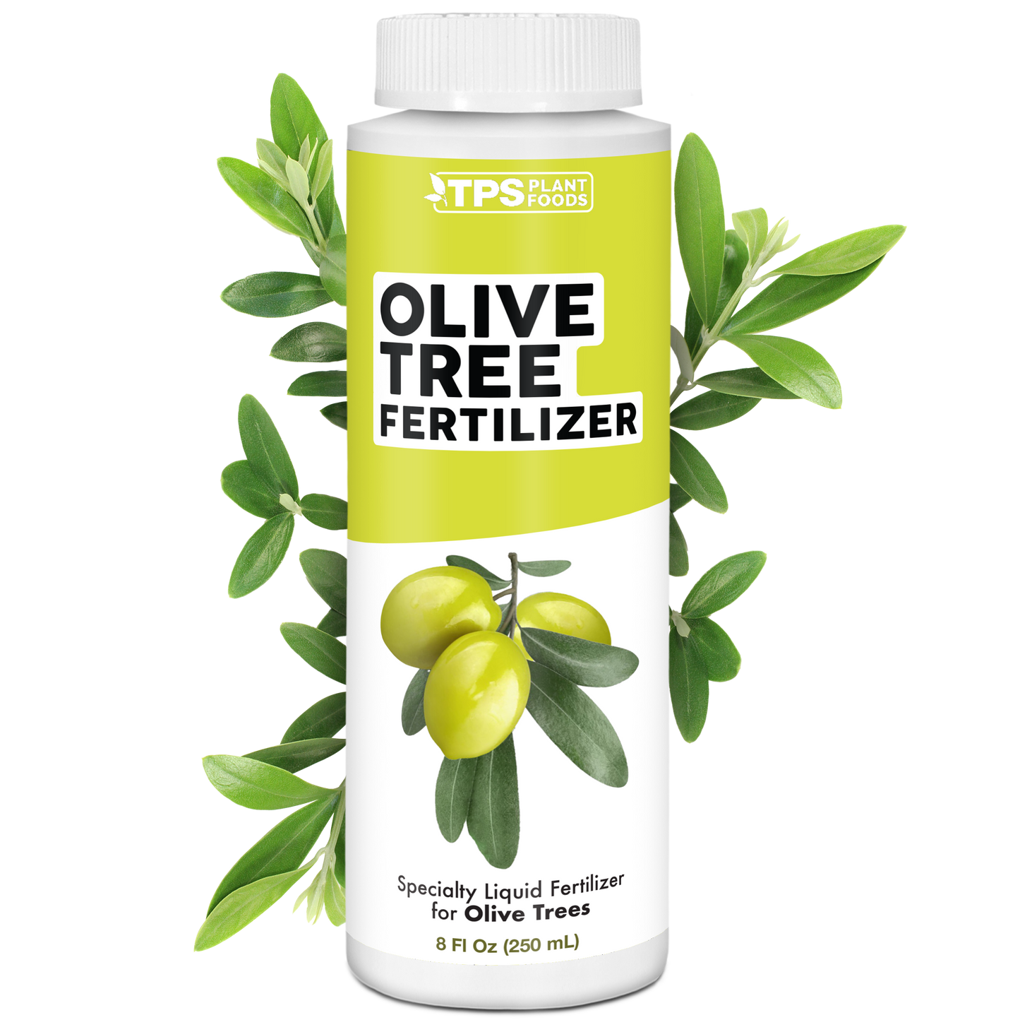 Olive Tree Fertilizer