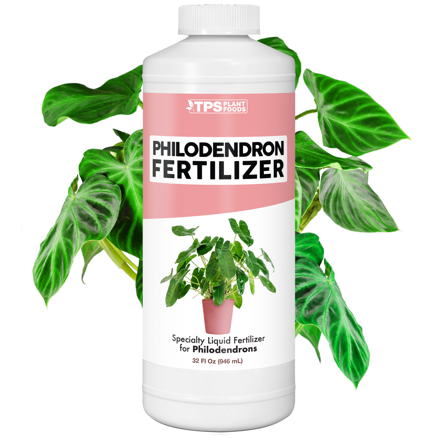 Philodendron Fertilizer