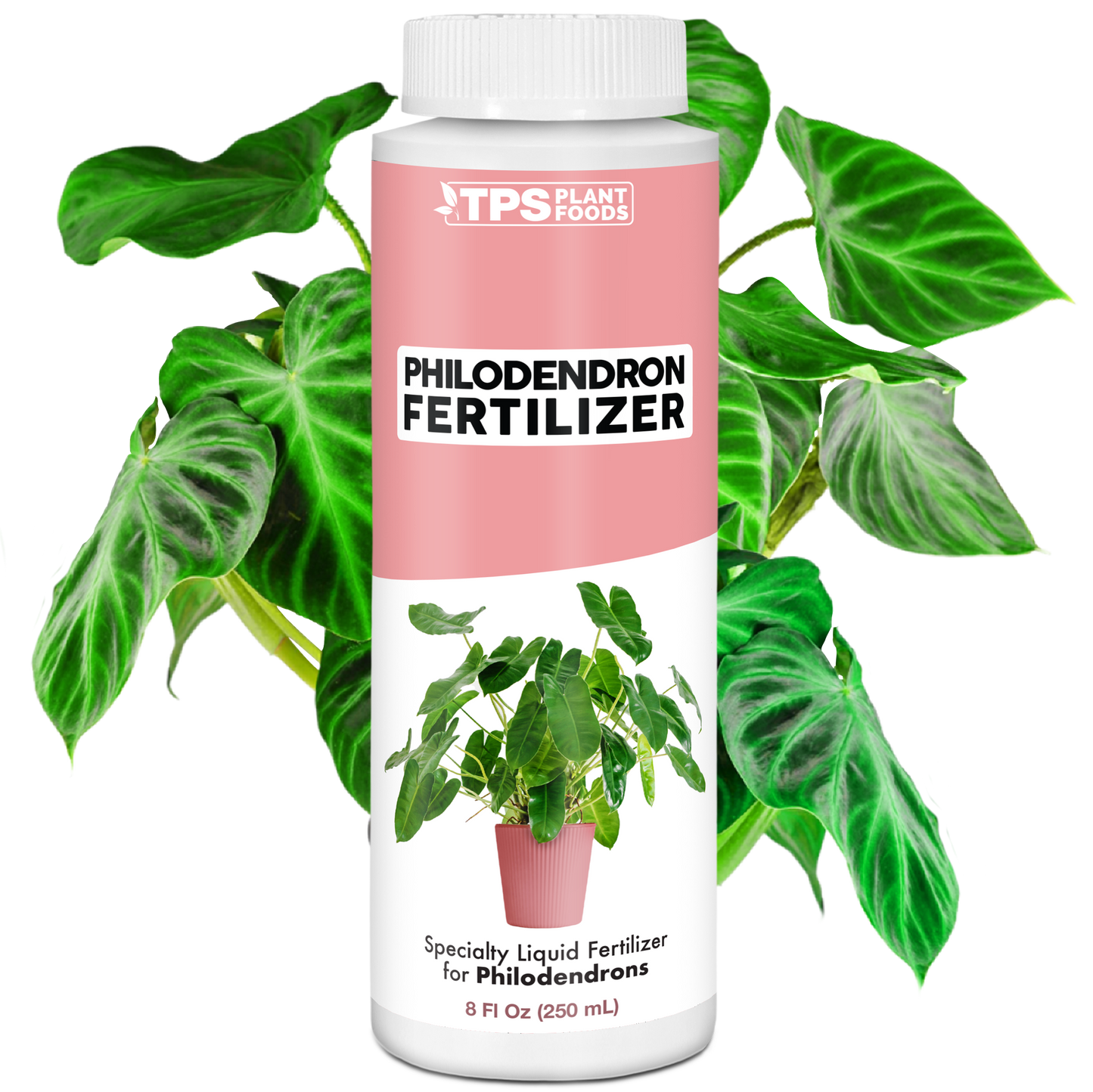 Philodendron Fertilizer