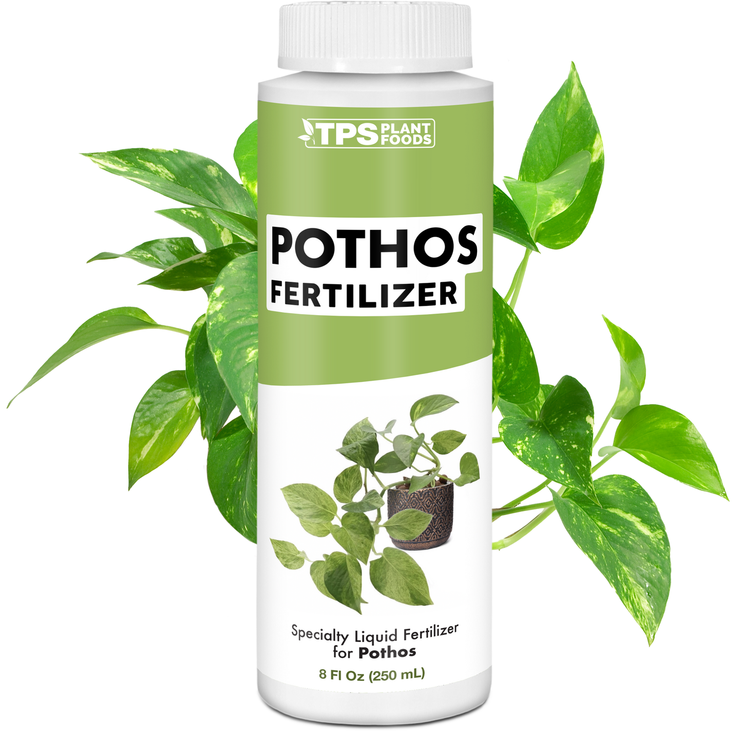 Pothos Fertilizer