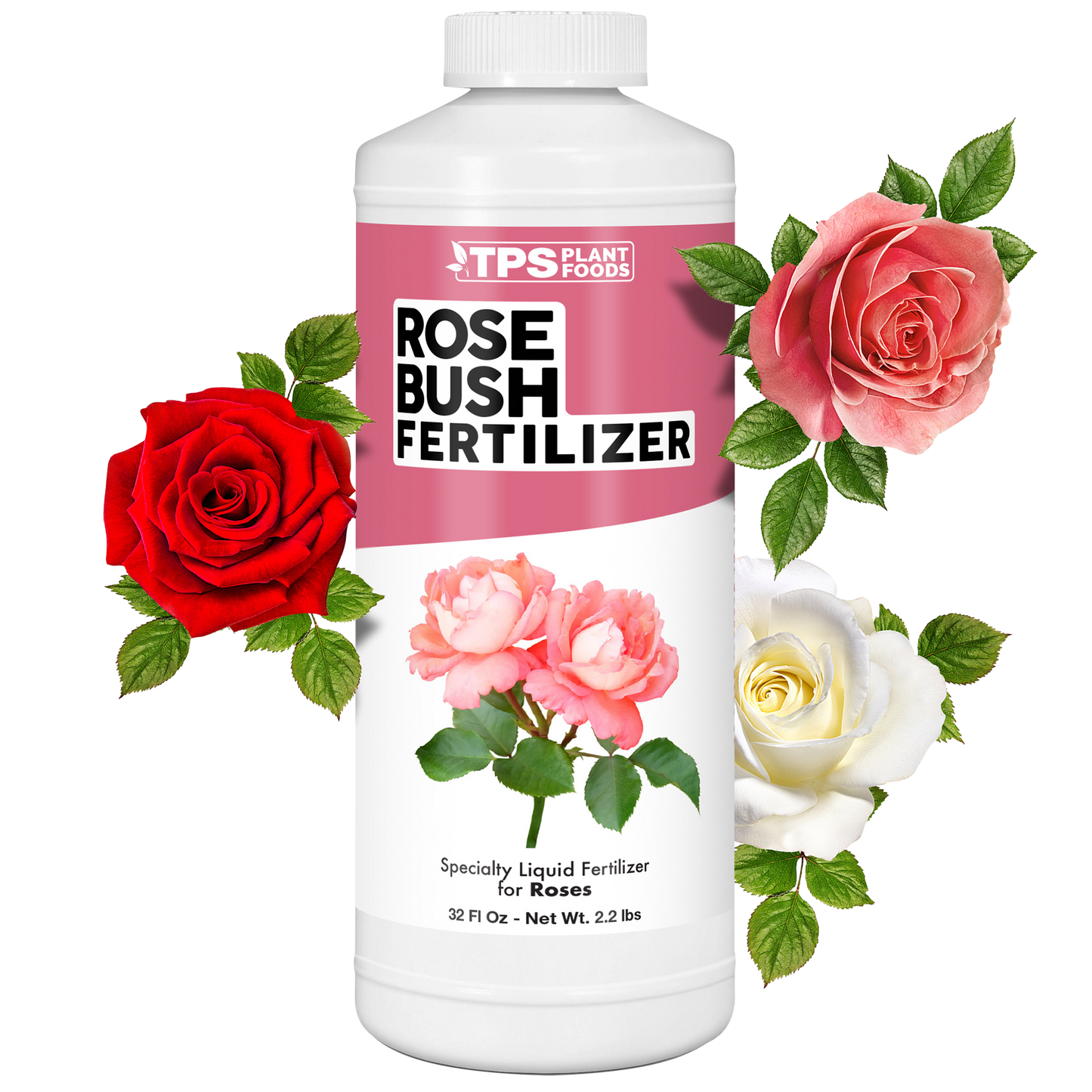 Rose Bush Fertilizer
