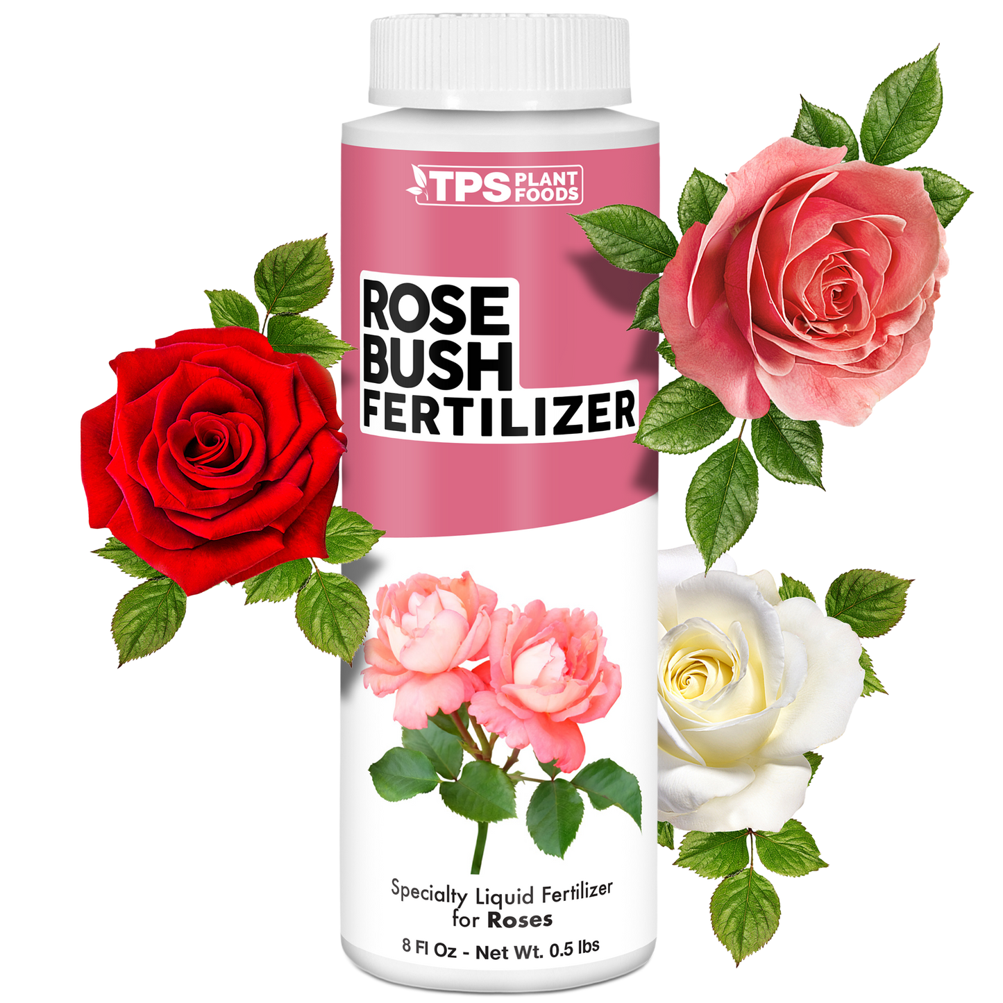 Rose Bush Fertilizer