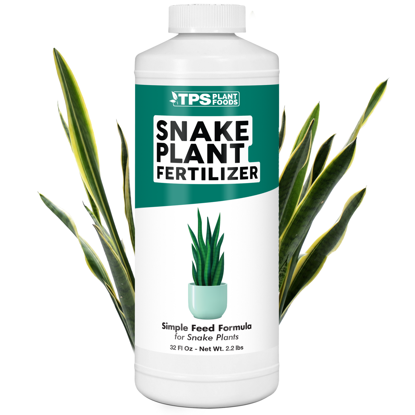 Snake Plant Fertilizer