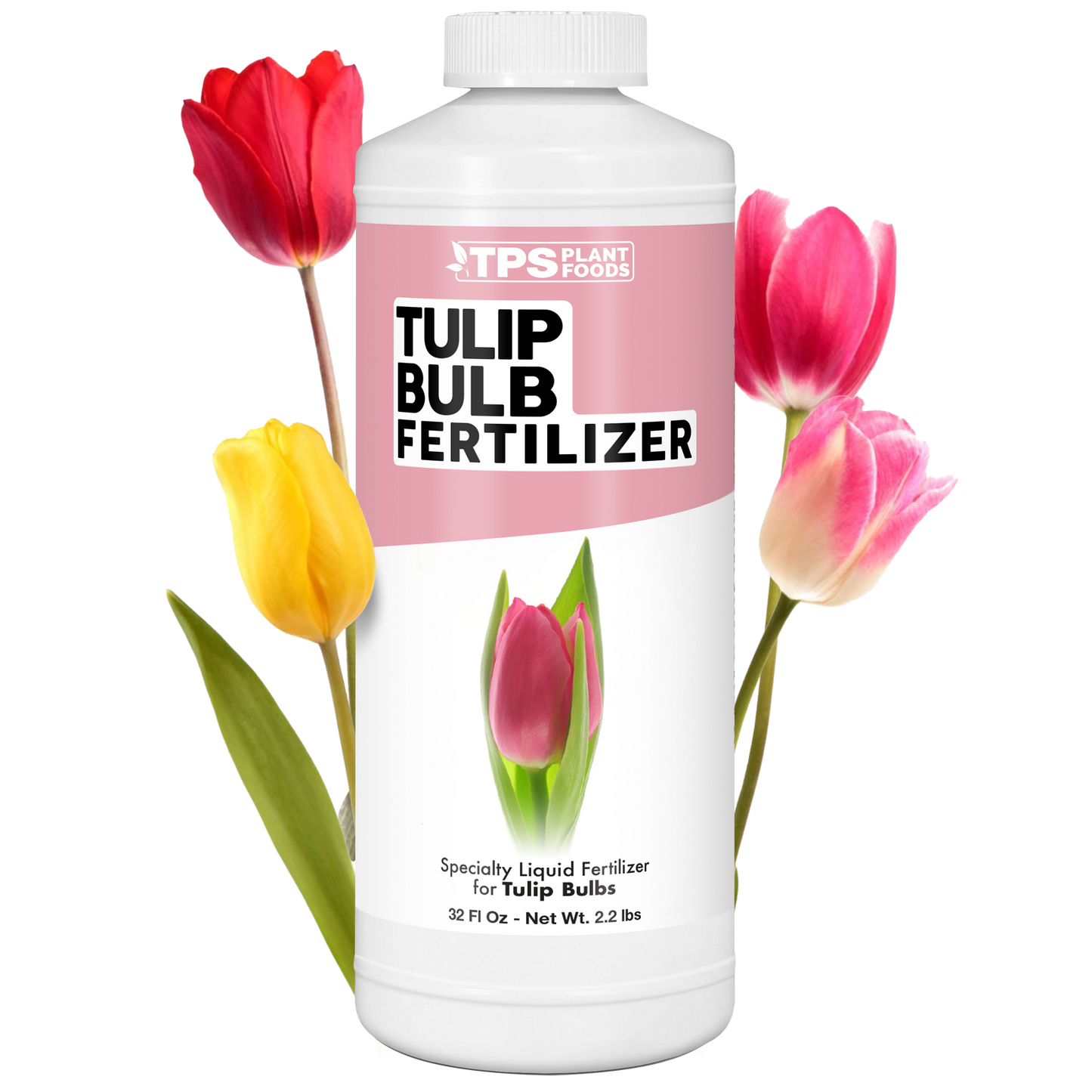 Tulip Bulb Fertilizer