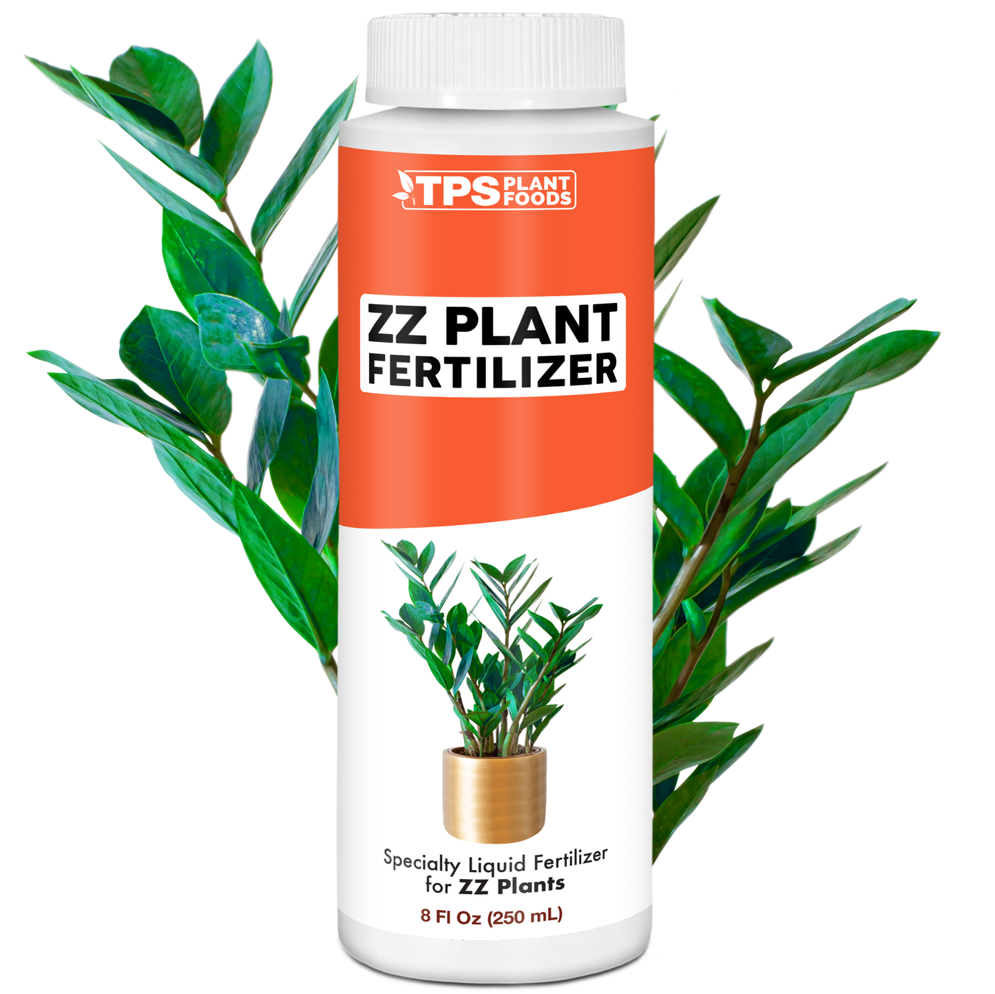 ZZ Plant Fertilizer