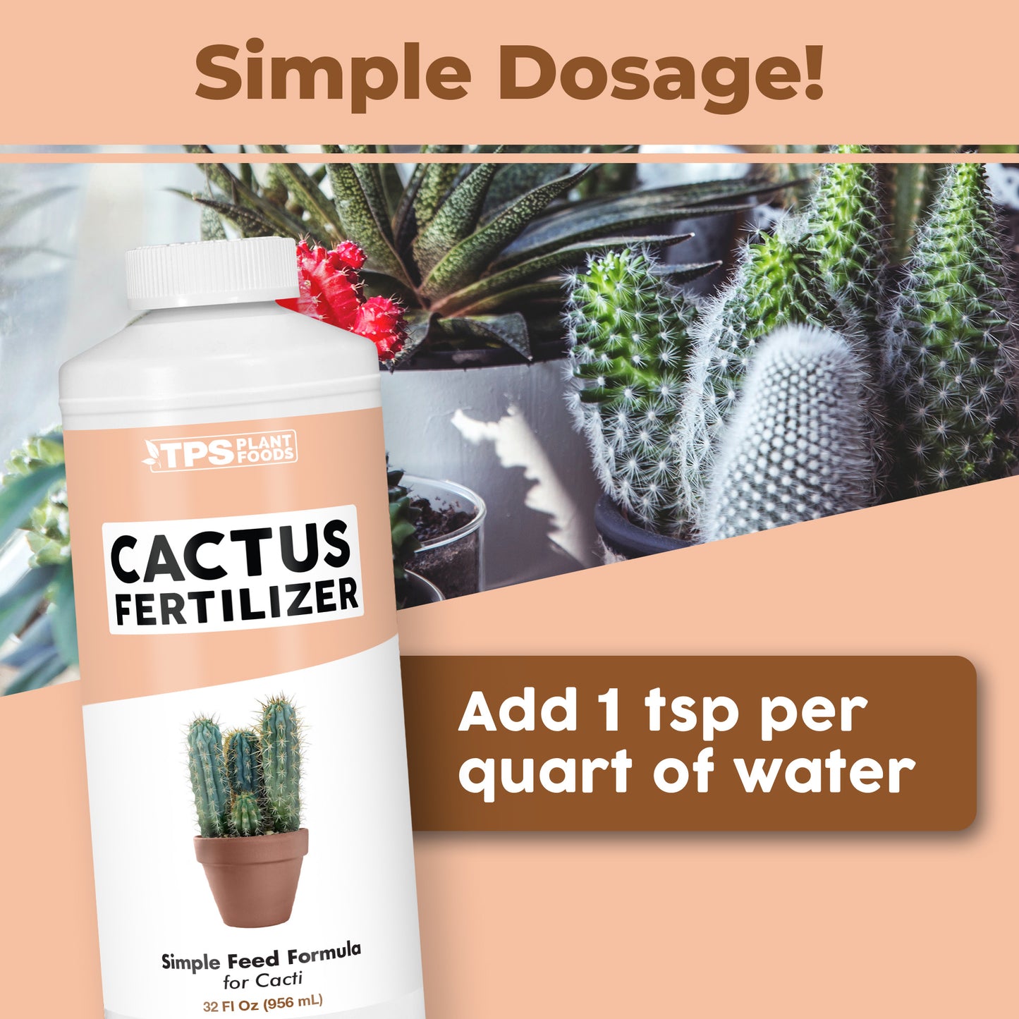 Cactus Fertilizer