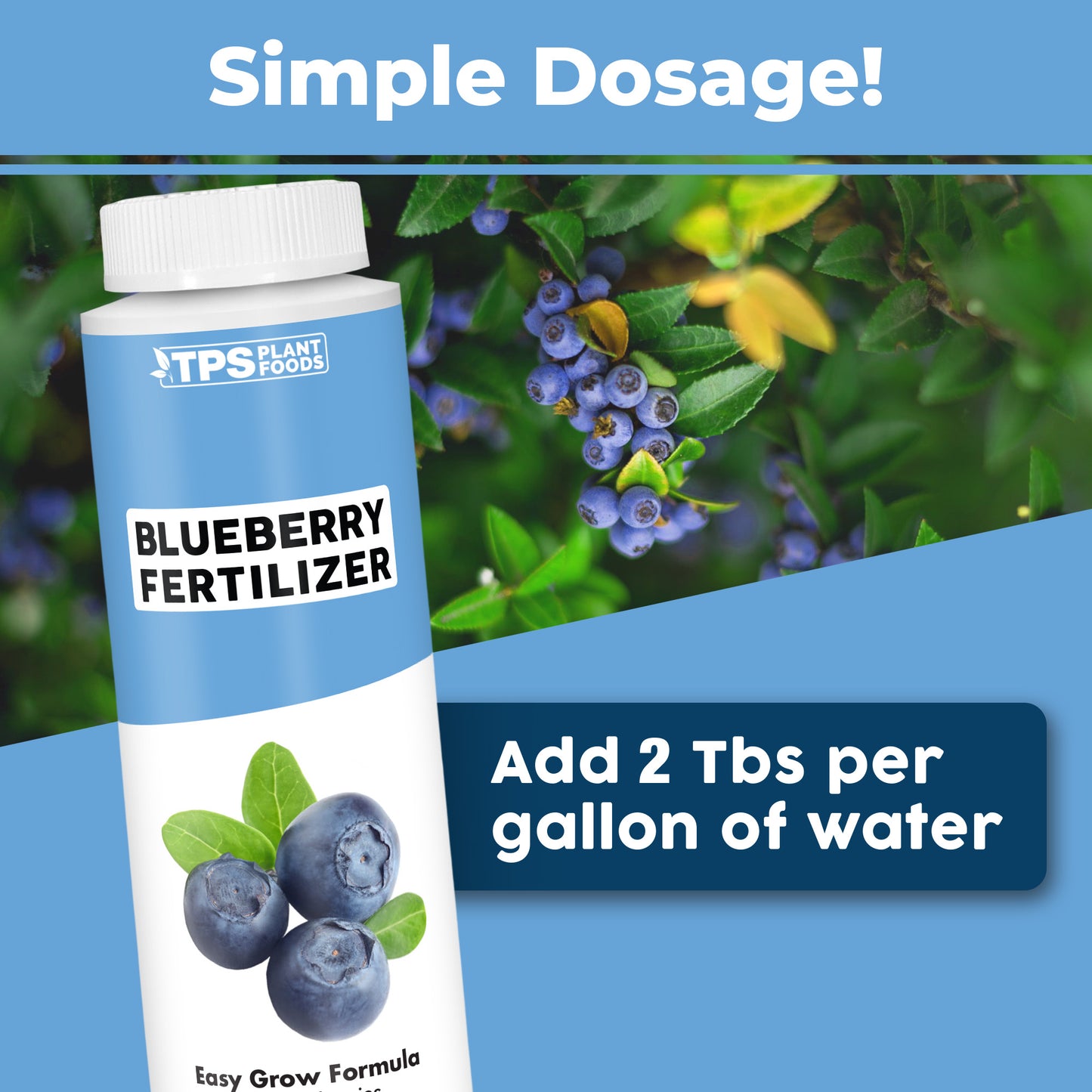 Blueberry Fertilizer
