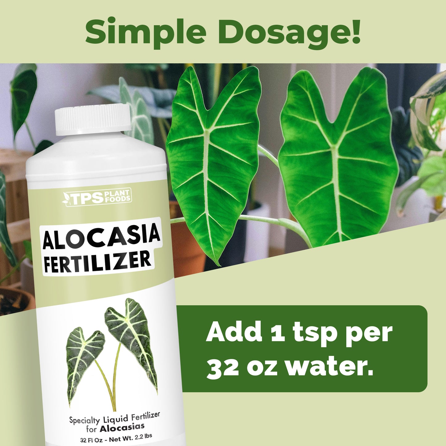 Alocasia Fertilizer