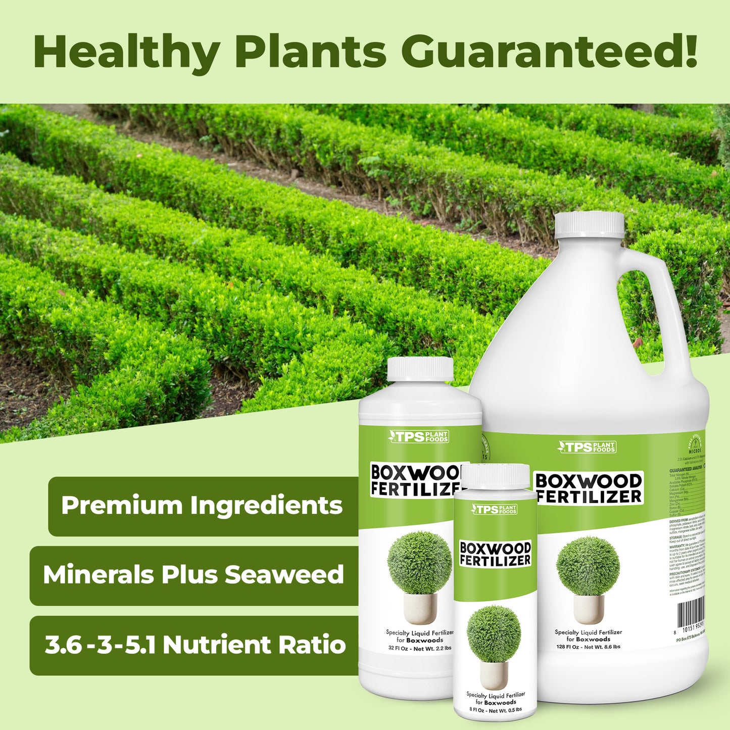Boxwood Fertilizer