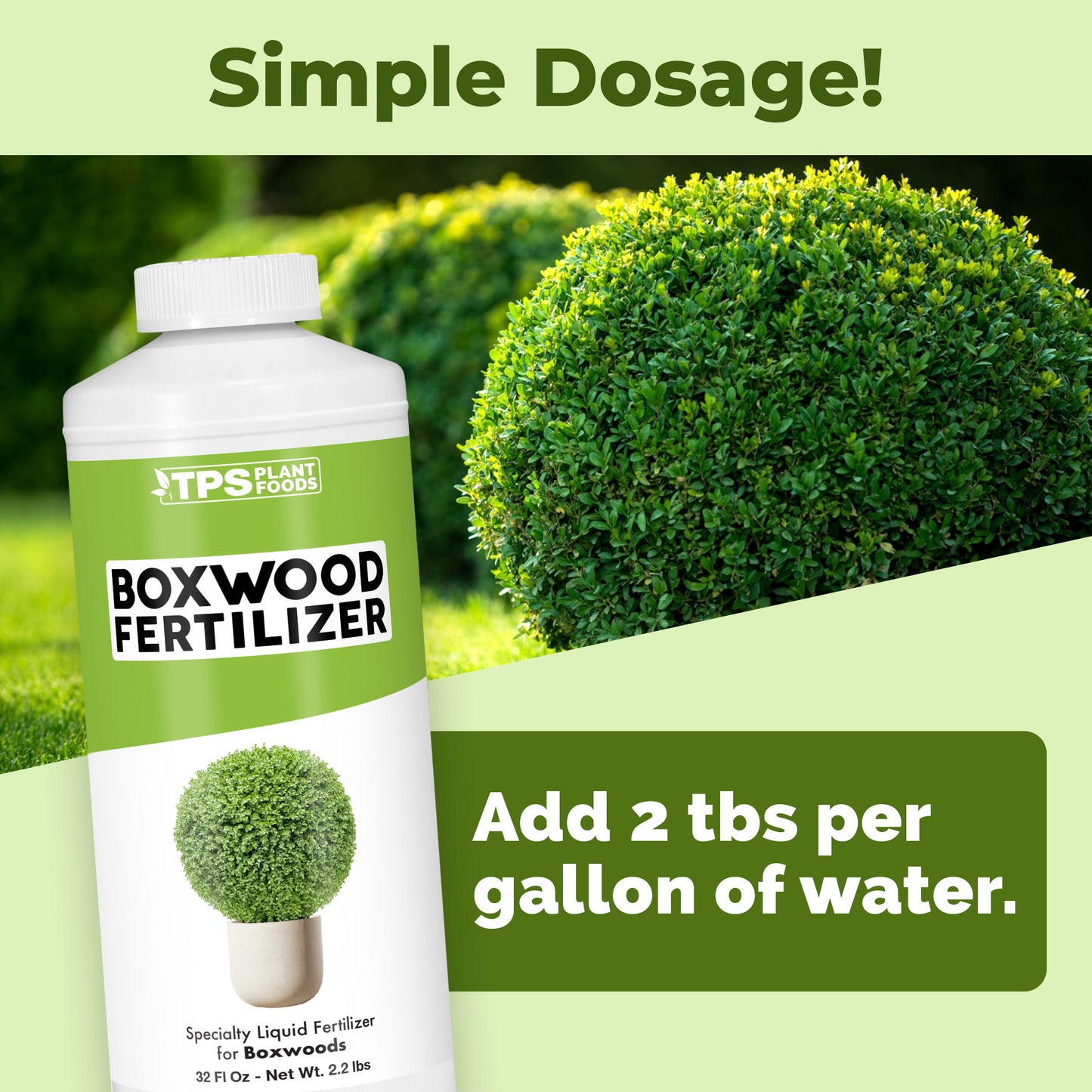 Boxwood Fertilizer