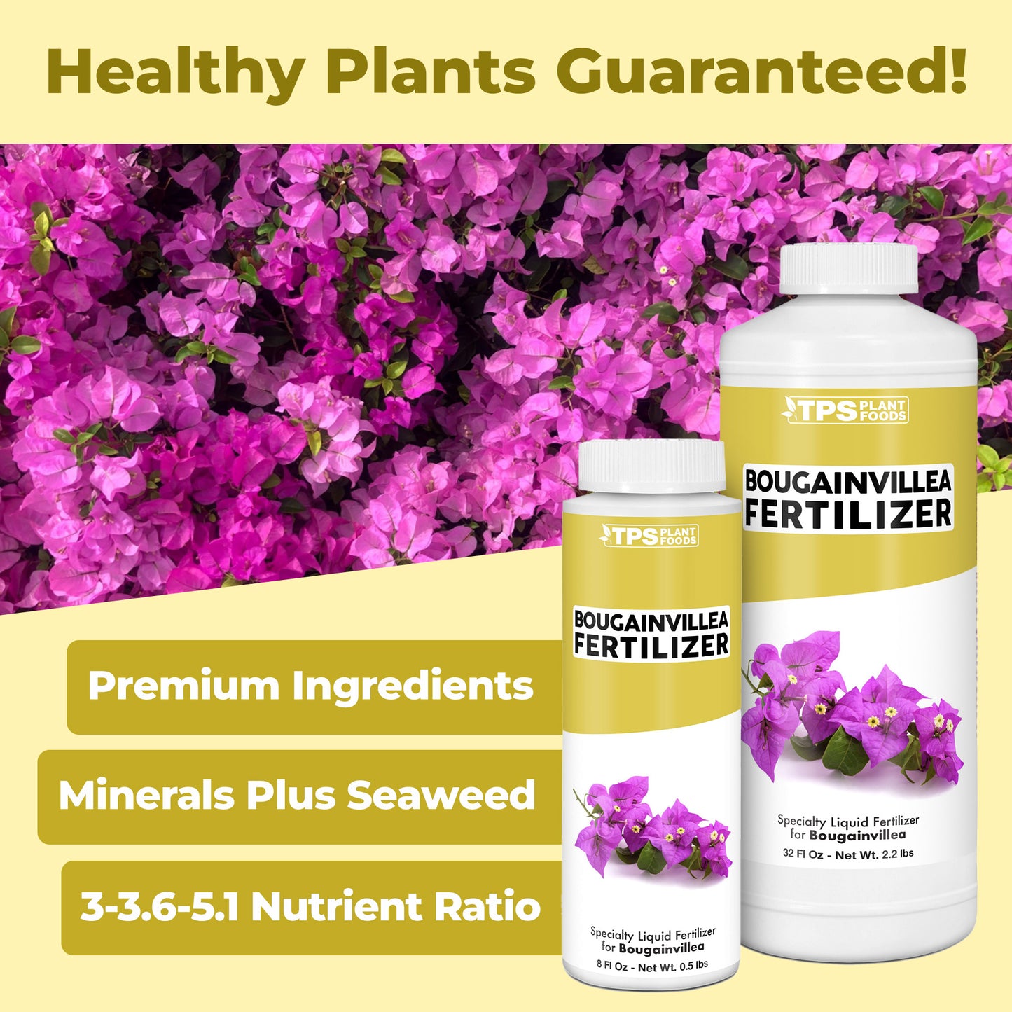 Bougainvillea Fertilizer