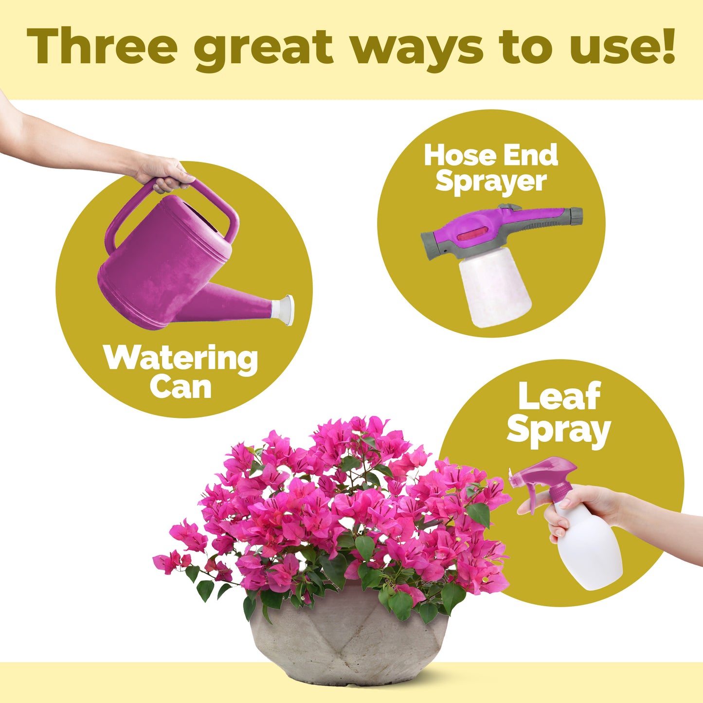 Bougainvillea Fertilizer