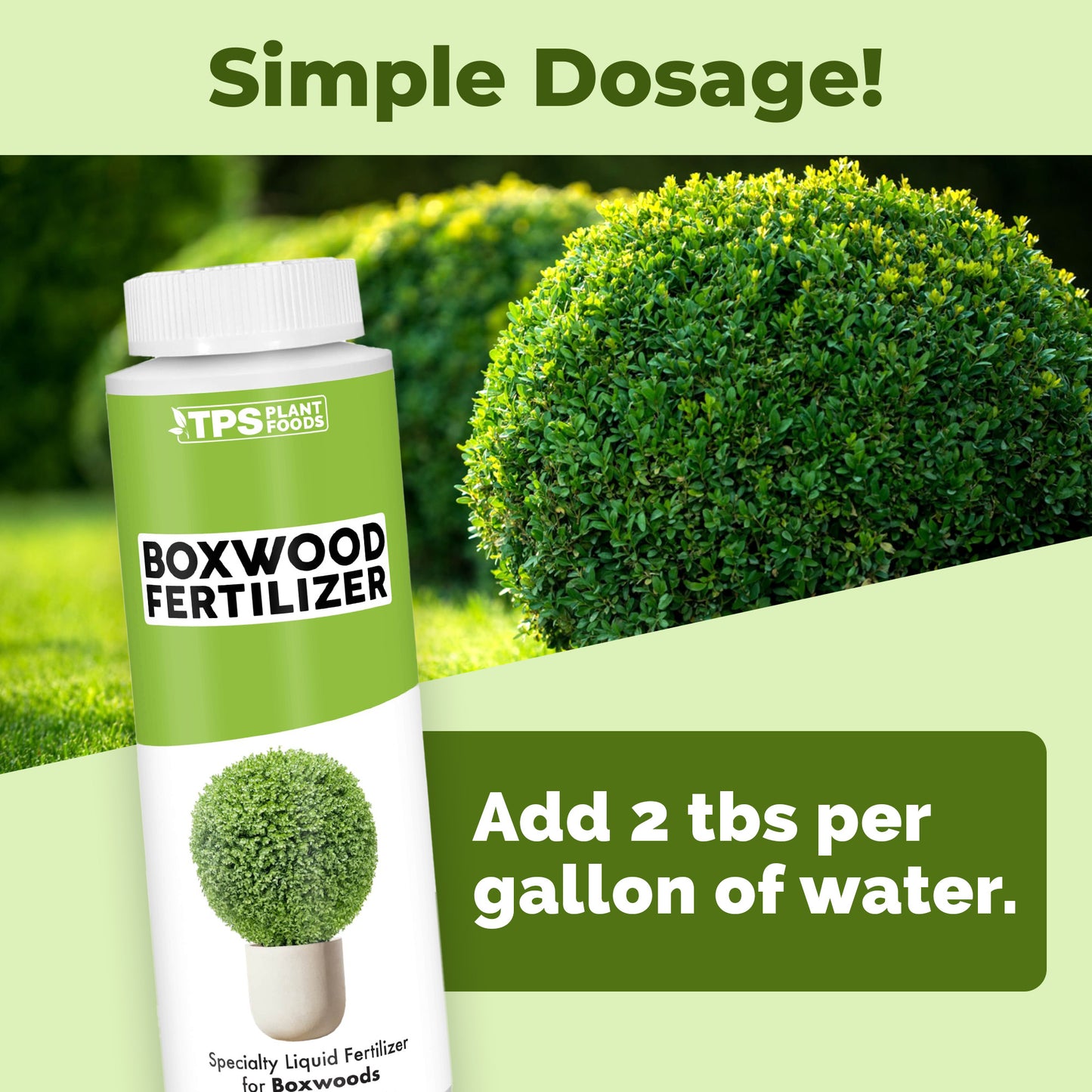 Boxwood Fertilizer