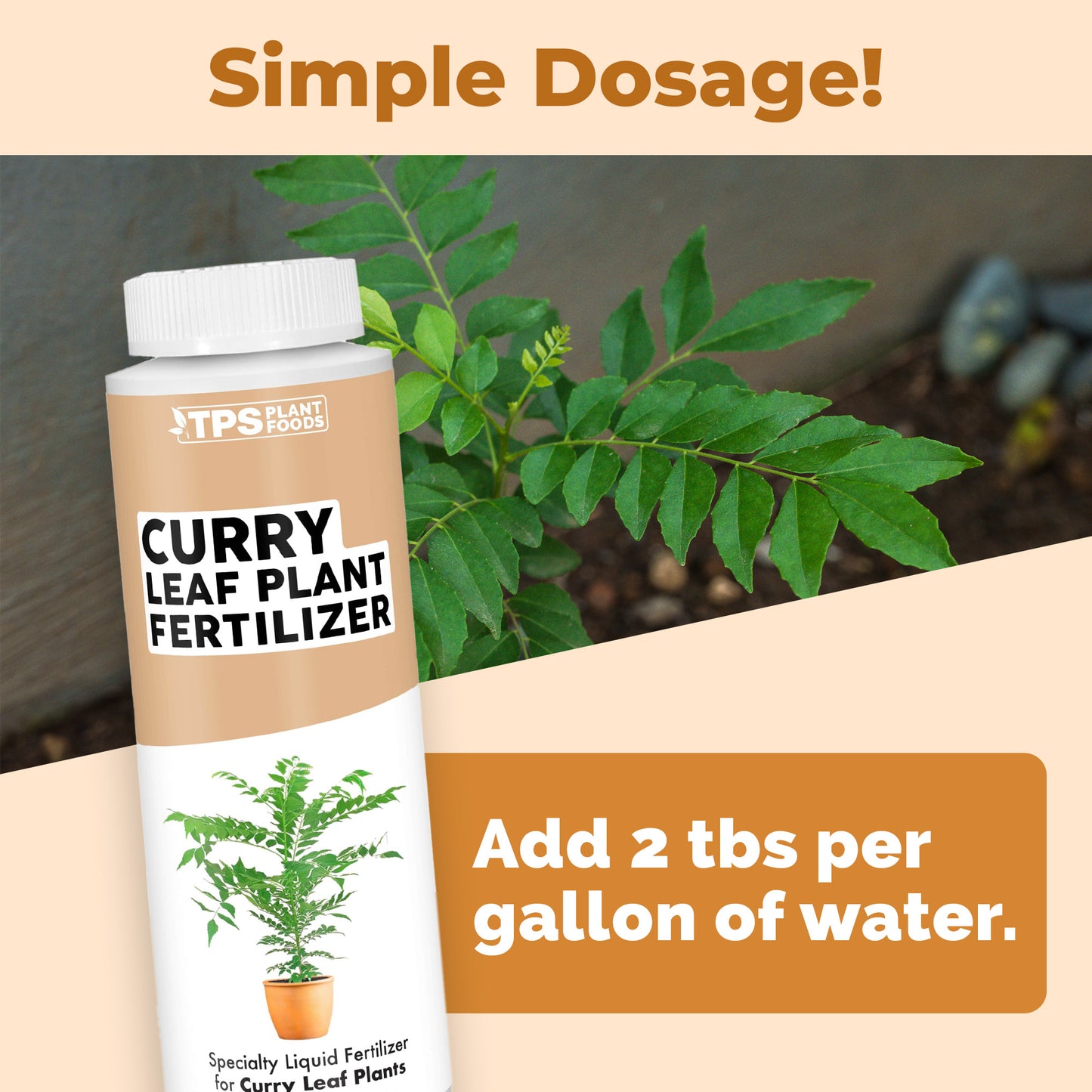 Curry Leaf Plant Fertilizer