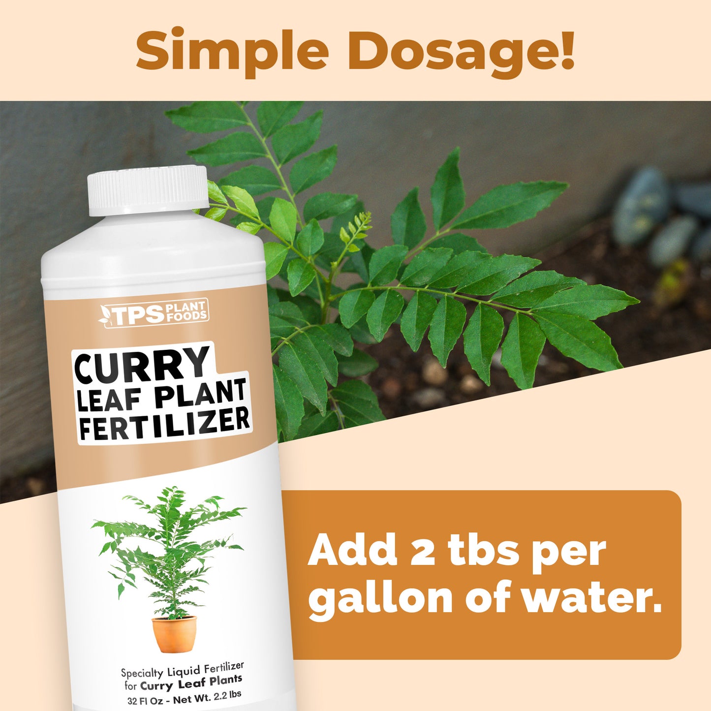 Curry Leaf Plant Fertilizer