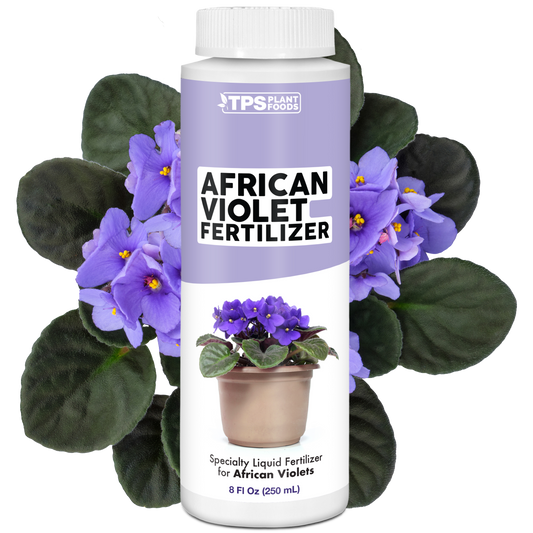 African Violet Fertilizer