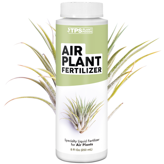 Air Plant Fertilizer