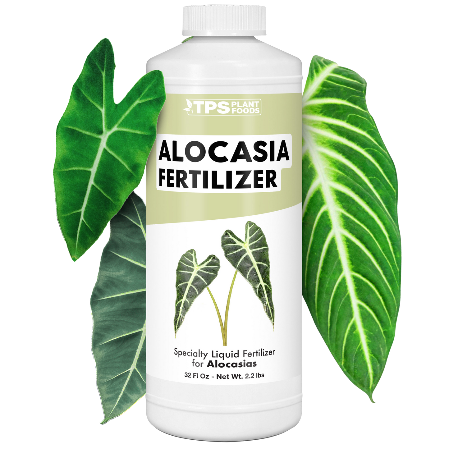 Alocasia Fertilizer