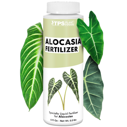 Alocasia Fertilizer