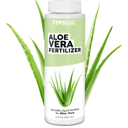 Aloe Vera Fertilizer