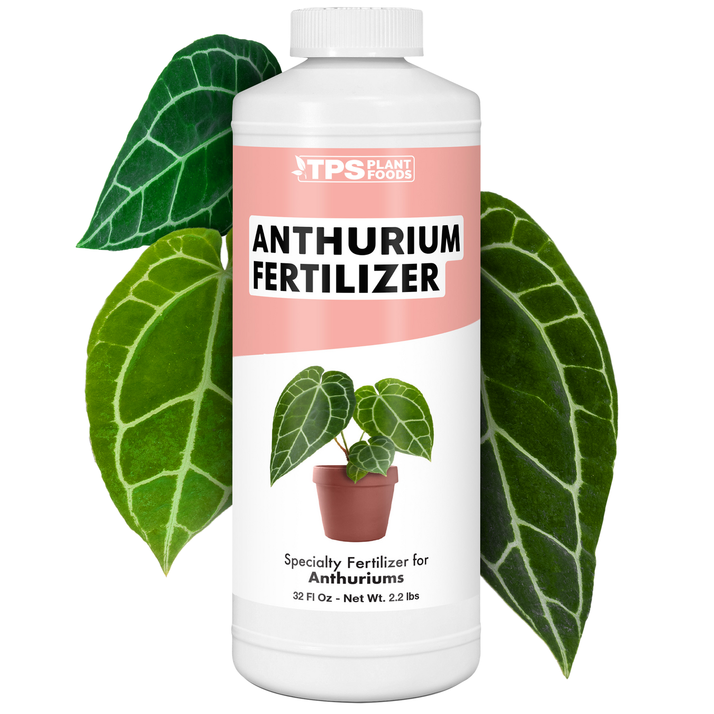 Anthurium Fertilizer