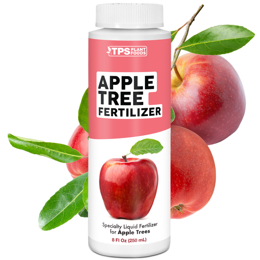 Apple Tree Fertilizer