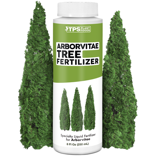 Arborvitae Fertilizer