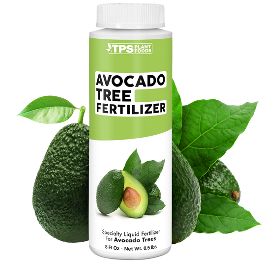 Avocado Tree Fertilizer
