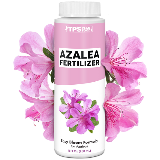 Azalea Fertilizer