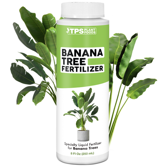 Banana Tree Fertilizer