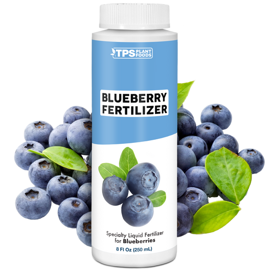 Blueberry Fertilizer
