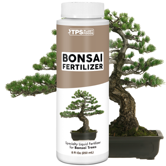 Bonsai Fertilizer
