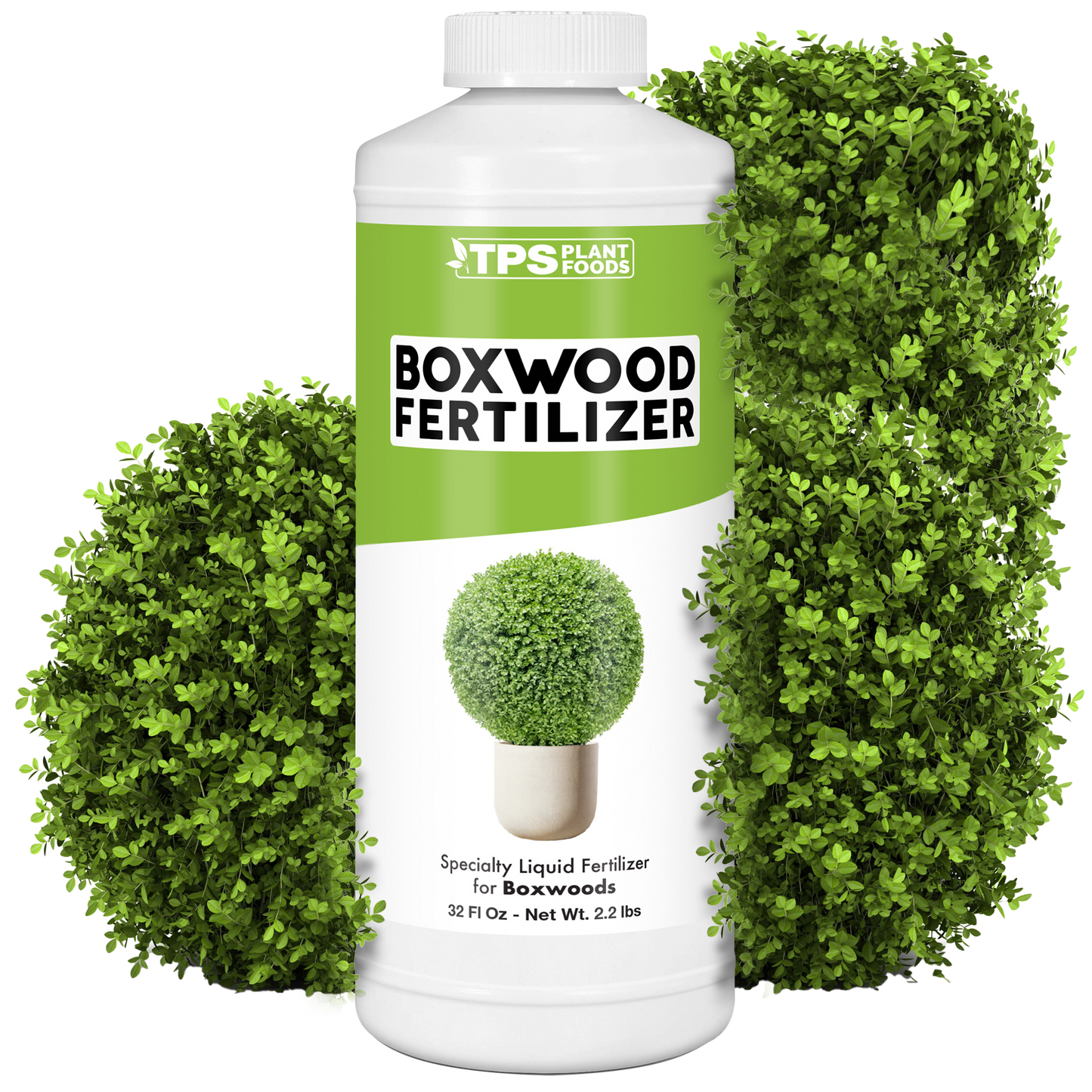 Boxwood Fertilizer