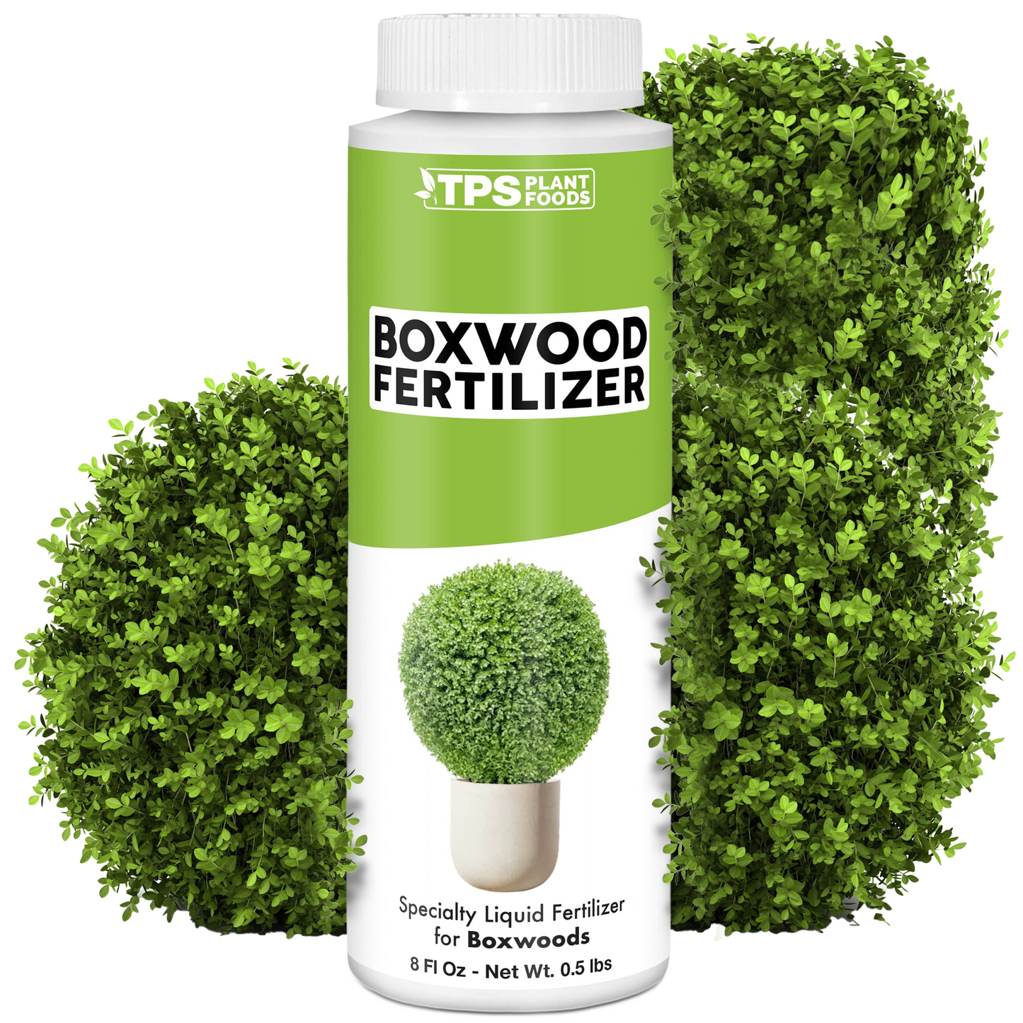 Boxwood Fertilizer