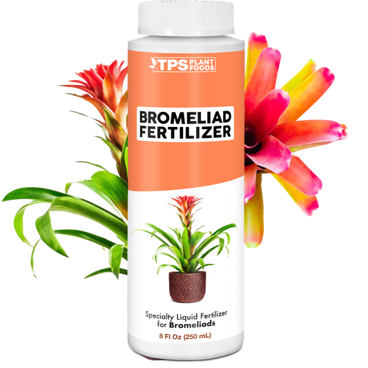 Bromeliad Fertilizer