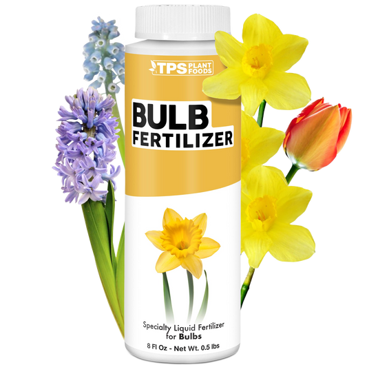 Bulb Fertilizer