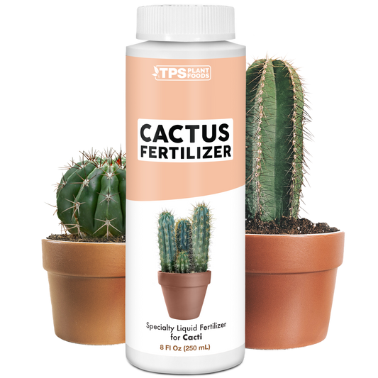 Cactus Fertilizer