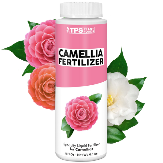 Camellia Fertilizer
